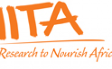 International Institute of Tropical Agriculture IITA